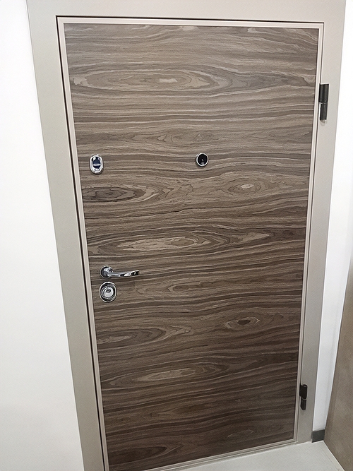 Дверь с видеоглазком Дверь с видеоглазком