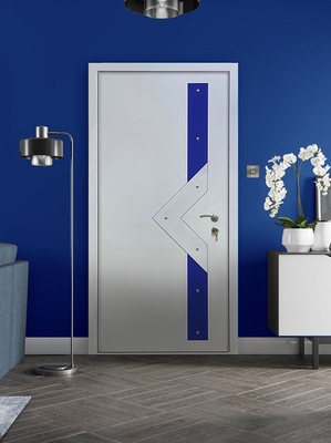 Порошковая дверь со вставками Порошковая дверь со вставками